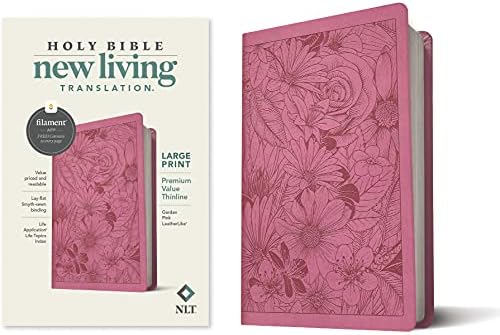 Giant Print Bible - Contemporary English Version (CEV): American